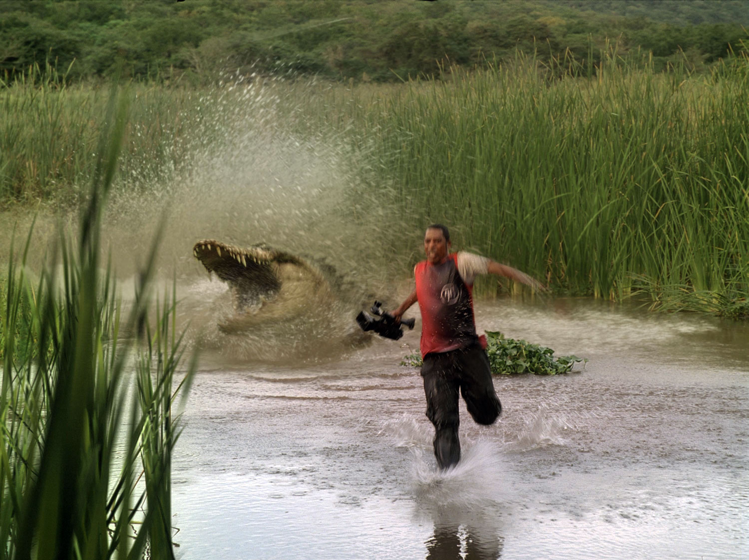 1500x1122, 333 Kb / вода, крокодил, камера, погоня, брызги