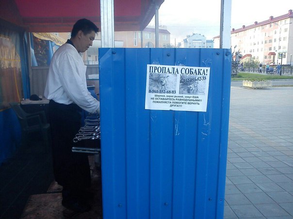 604x453, 50 Kb / шашлык, кореец, пропала, собака