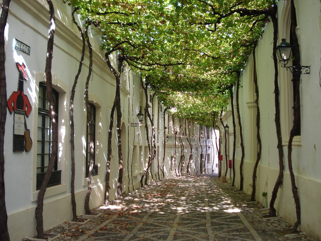 1024x768, 302 Kb / дерево, аллея, солнце, дом, дорога, Испания