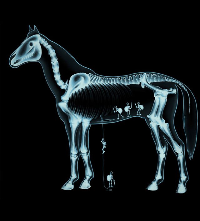 640x705, 43 Kb / рентген, конь, троянский, солдаты