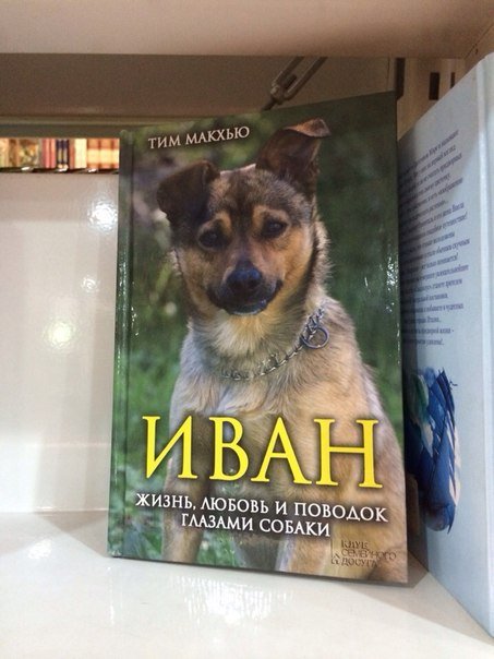 453x604, 51 Kb / книга, иван, собака