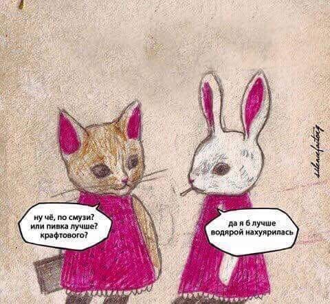 480x442, 52 Kb / смузи, водяра, пивко, кисонька, заинька