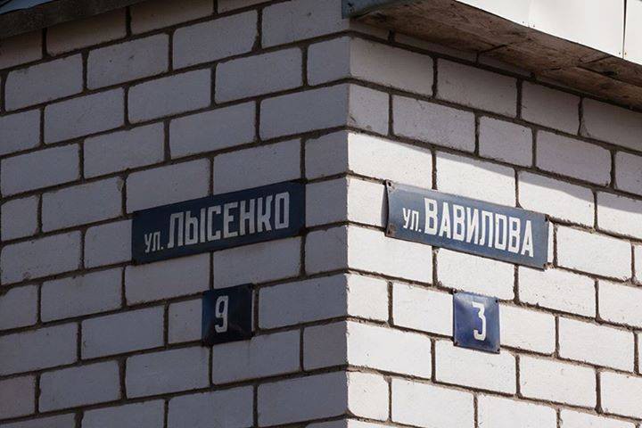 720x480, 58 Kb / лысенко, вавилов