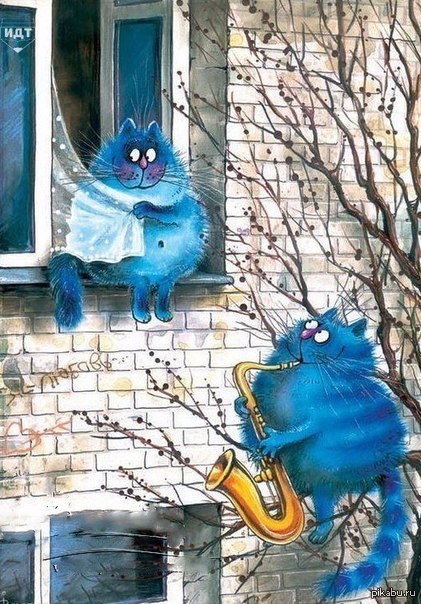 421x604, 134 Kb / котэ, серенада, труба, подоконник, любовь