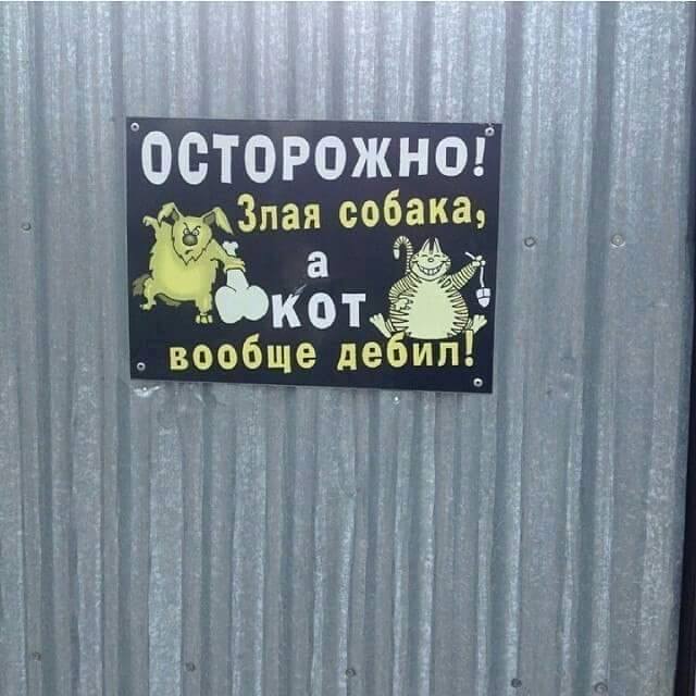 640x640, 50 Kb / объявление, собака, злая, котэ, дебил