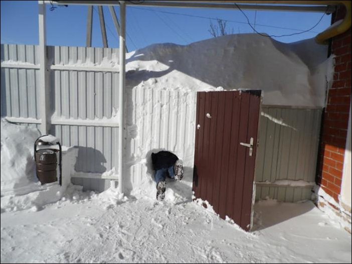 702x527, 152 Kb / забор, калитка, нора, снег, сугроб, металлопрофиль