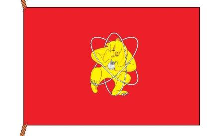 448x273, 16 Kb / флаг, герб, медведь, атом, ядро