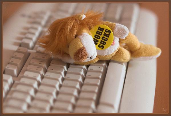 600x410, 35 Kb / клавиатура, игрушка