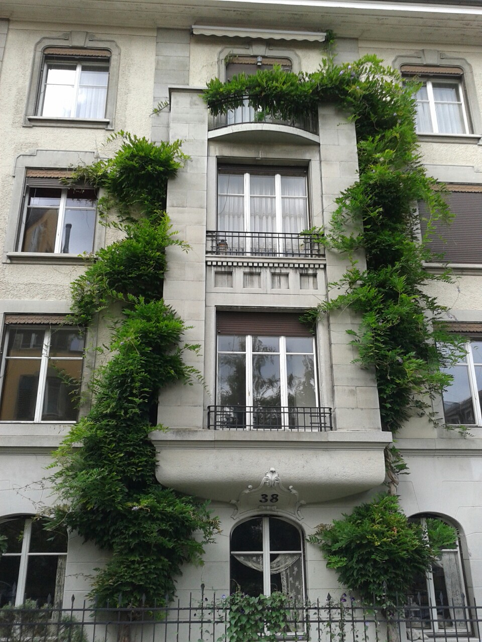 960x1280, 374 Kb / заросли, дом, 38