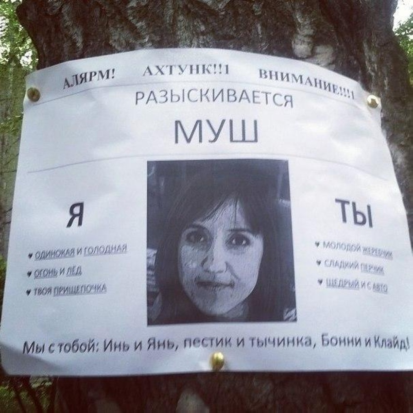 850x850, 232 Kb / МУШ, объявление