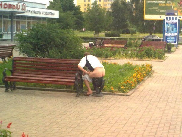 604x453, 65 Kb / Урна, улица, дефекация