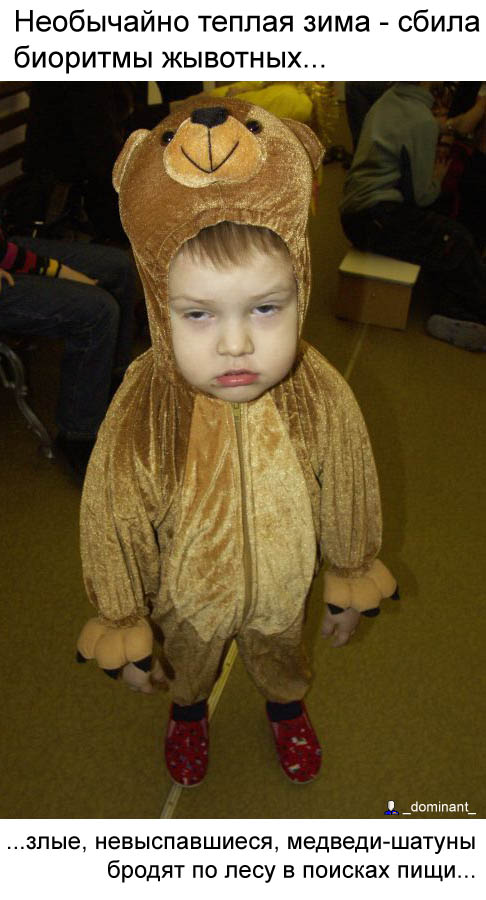 486x900, 95 Kb / медведь, шатун, биоритм, костюм, ребенок