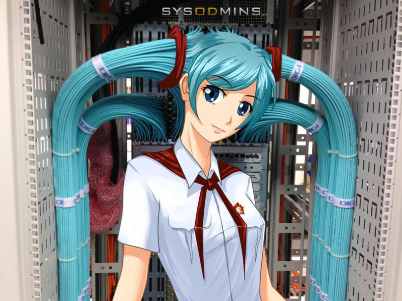 811x608, 120 Kb / Аниме, кабеля, серверная, пионерка