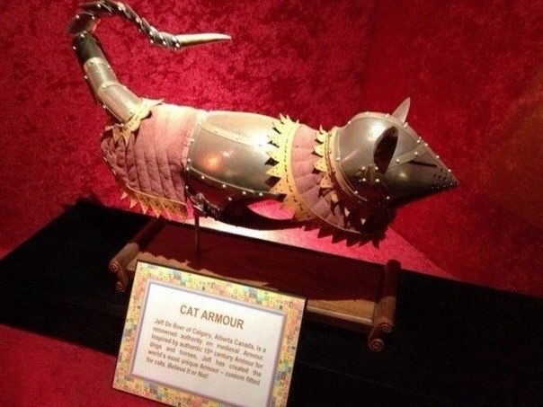 604x453, 62 Kb / доспех, кот