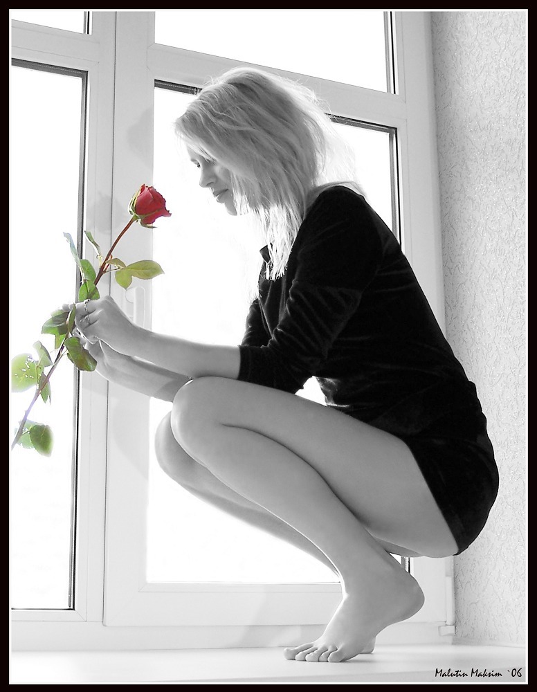 776x1000, 137 Kb / блондинка, подоконник, роза