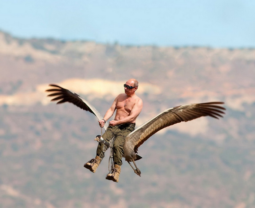 830x679, 126 Kb / путин, верхом, птица, очки