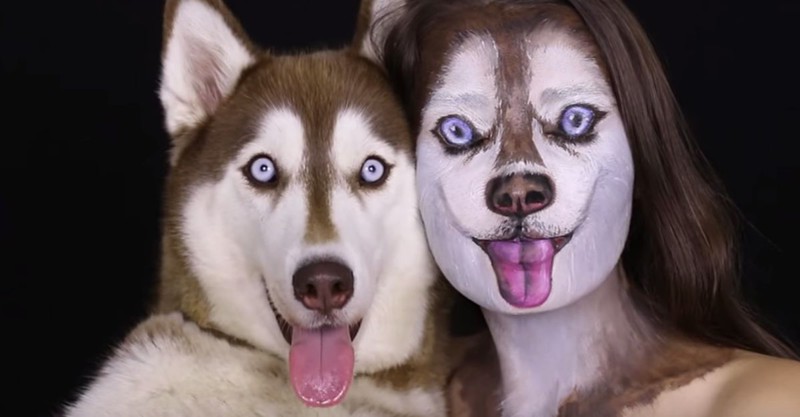 800x417, 52 Kb / Хаски, бодиарт