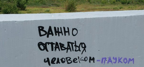 604x284, 33 Kb / важно, человек, паук