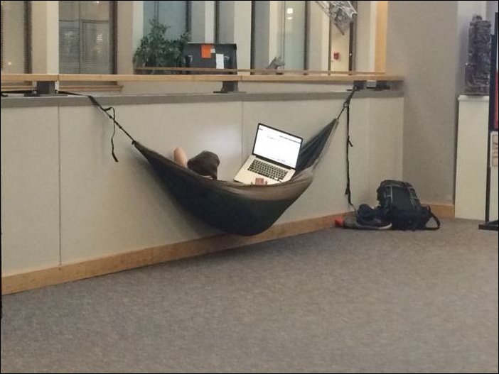 702x527, 51 Kb / Гамак, идея, поездка, ноутбук