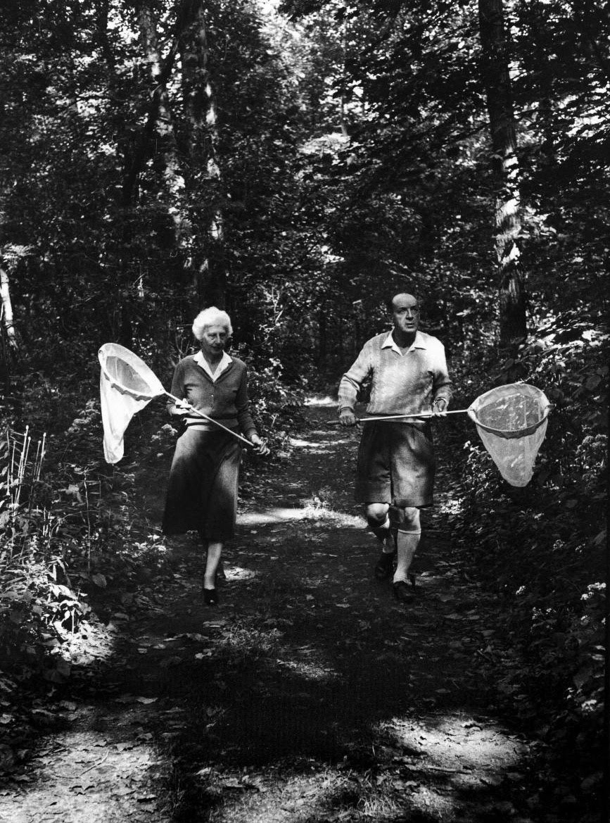 867x1169, 294 Kb / набоков, сачок, ч/б