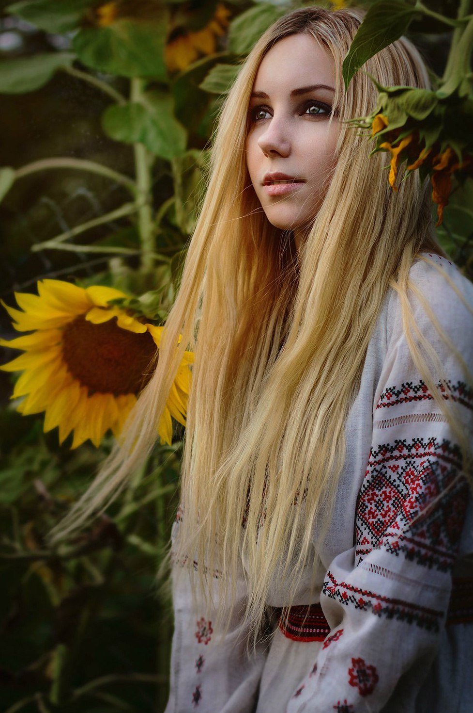 977x1470, 262 Kb / девушка, блондинка, подсолнух, Вышиванка
