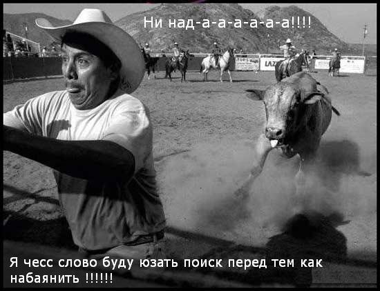 550x422, 42 Kb / бык, родео, баян