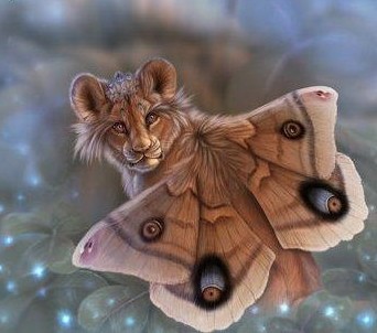 342x302, 27 Kb / лев, бабочка