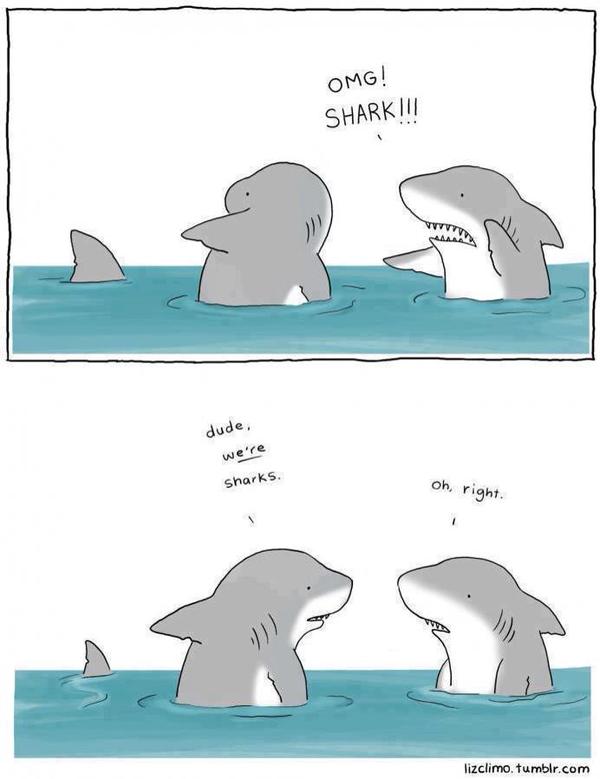 600x779, 36 Kb / акула, испуг