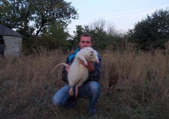 552x390, 85 Kb / мужик, зверек, трава, кусты