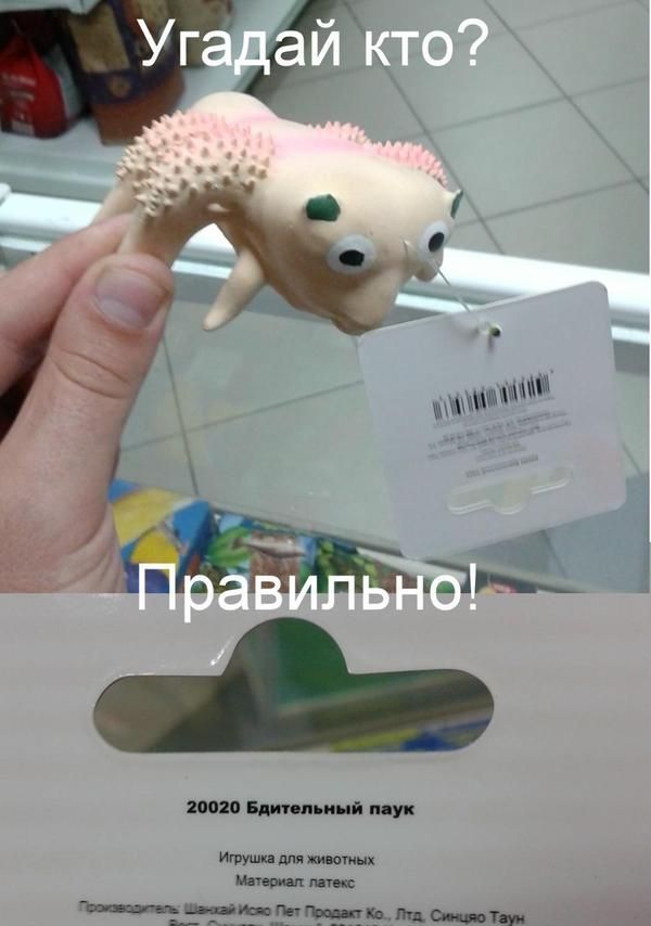 600x854, 46 Kb / игрушка, упаковка