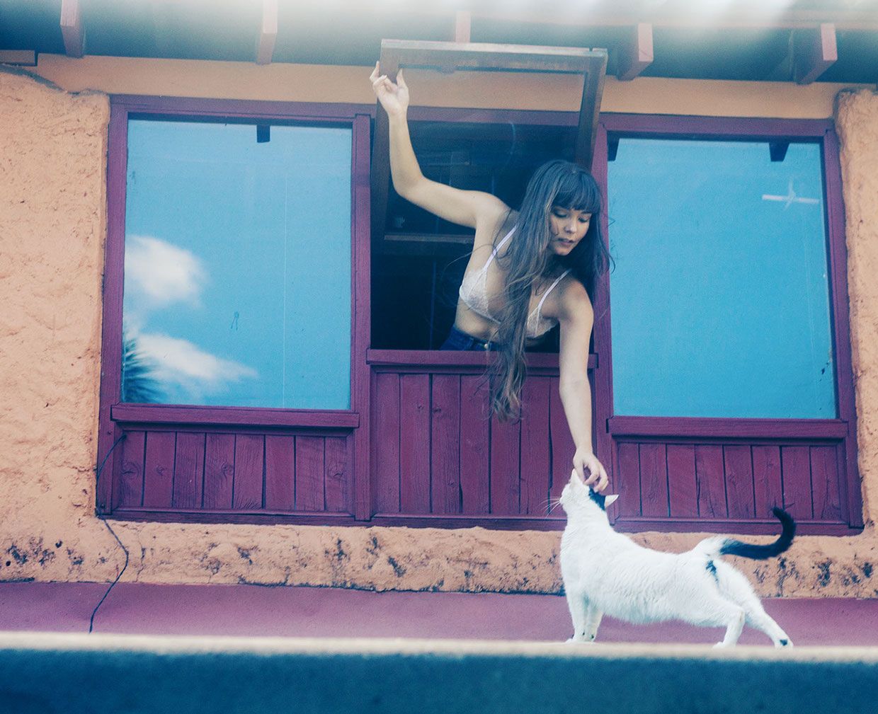 1240x1009, 179 Kb / окно, рука, котэ, хвост