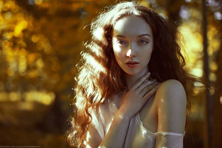 720x480, 48 Kb / лес, рыжая