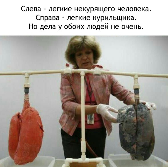 588x583, 52 Kb / легкие, курильщик