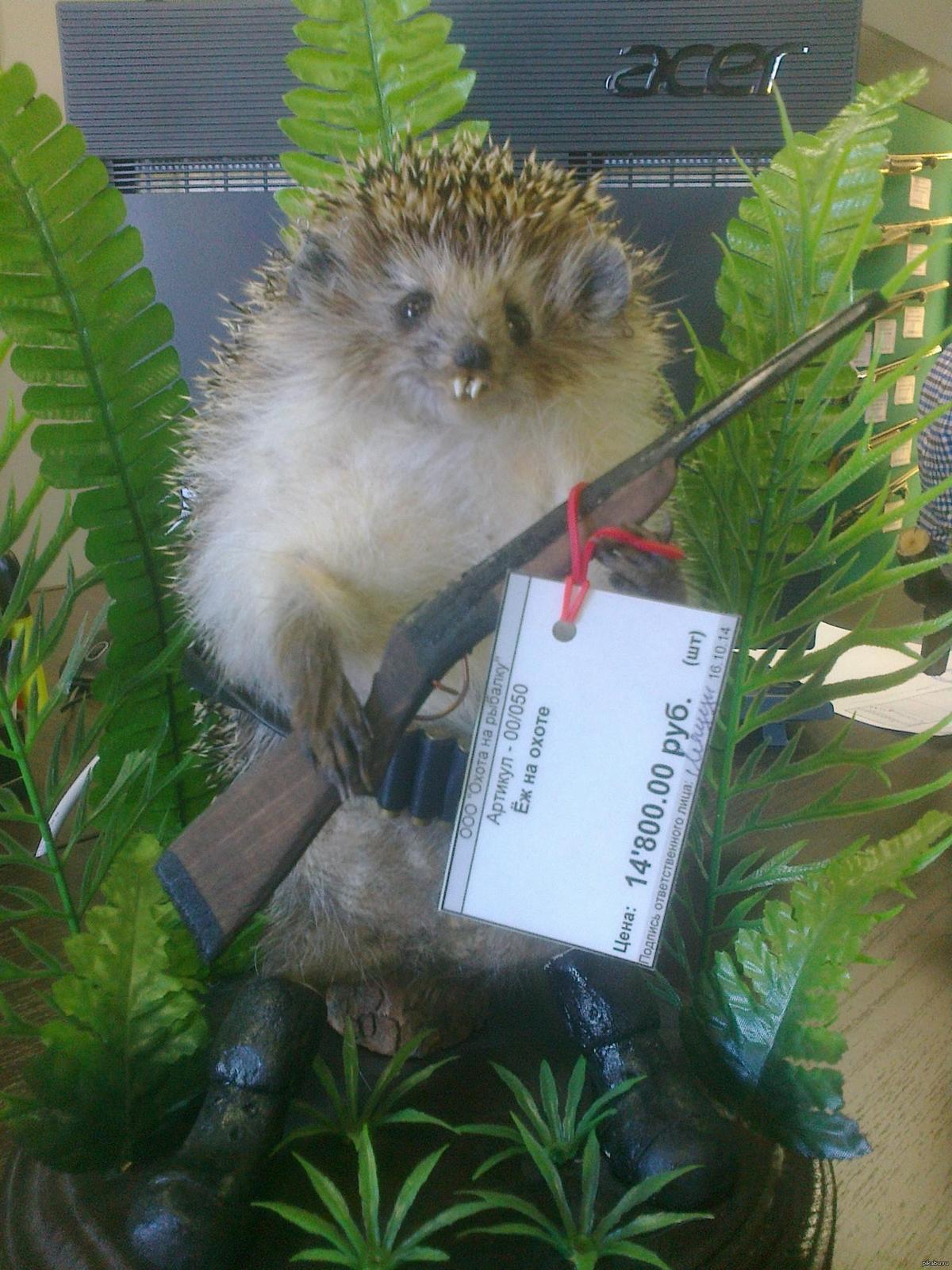 1200x1600, 251 Kb / Ёжик, чучело, ружьё, асер, ценник