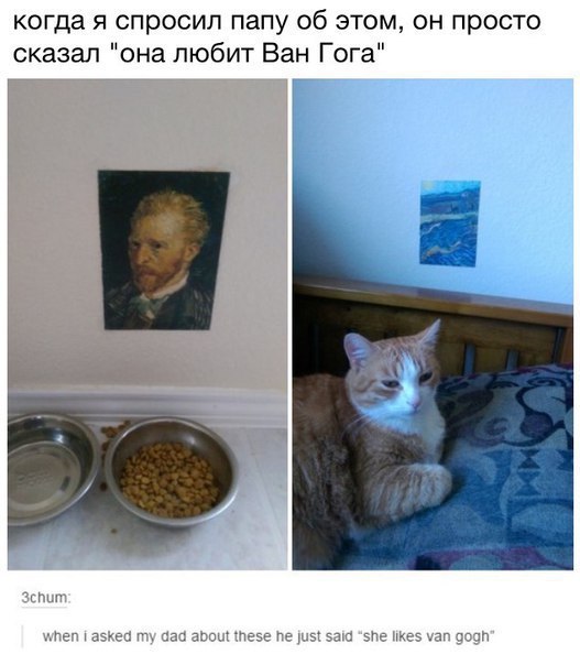 527x604, 53 Kb / Ван Гог, кошка, кот, папа, любовь