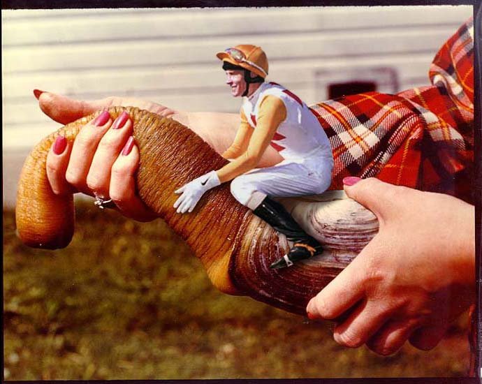 690x550, 68 Kb / хуйня, фотошоп