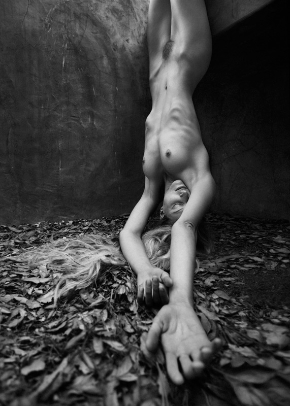 571x800, 120 Kb / ч/б, голая, листья, вниз головой, ребра, мохнатка