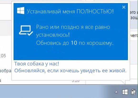 579x412, 38 Kb / windows 10, обновление