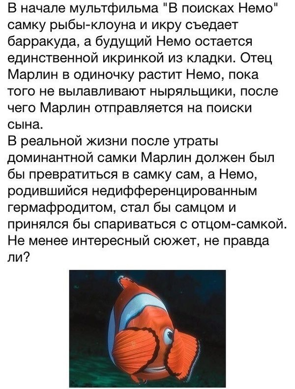 600x790, 168 Kb / Немо, версия