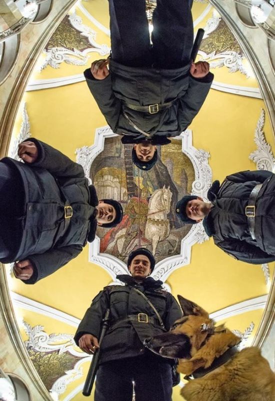 550x802, 92 Kb / Полиция, собака, потолок