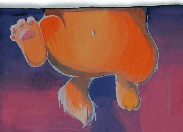 604x436, 16 Kb / Кот, низ