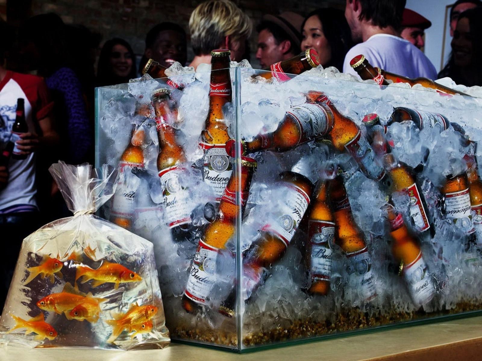 1600x1200, 267 Kb / Пиво, аквариум, лёд, рыбки, пакет