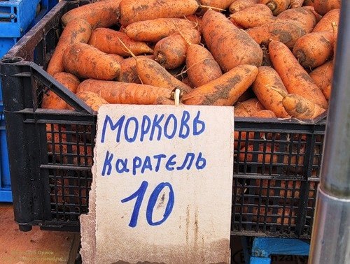500x378, 64 Kb / морковь, каратель