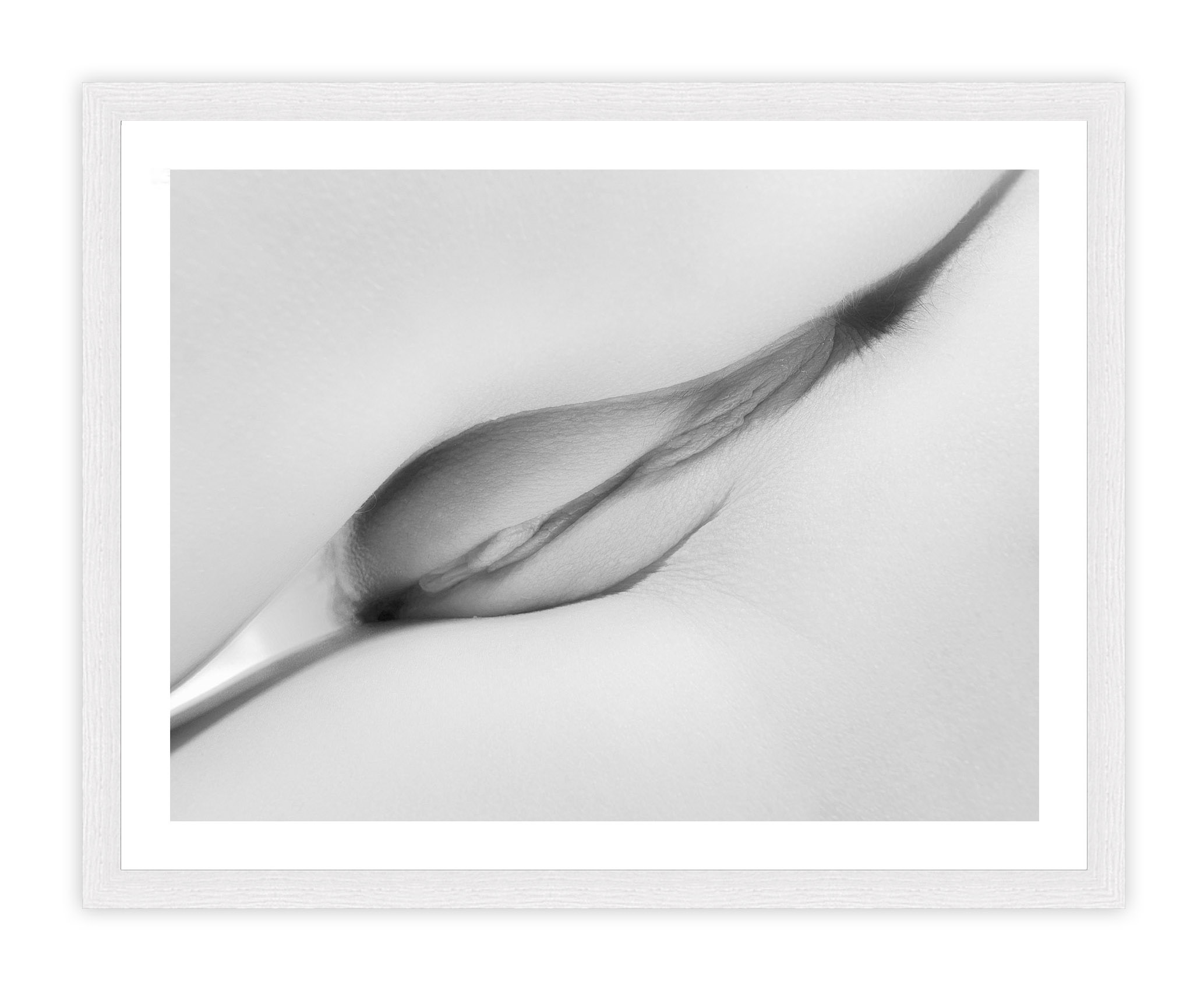 2067x1703, 276 Kb / Пизда, ч/б