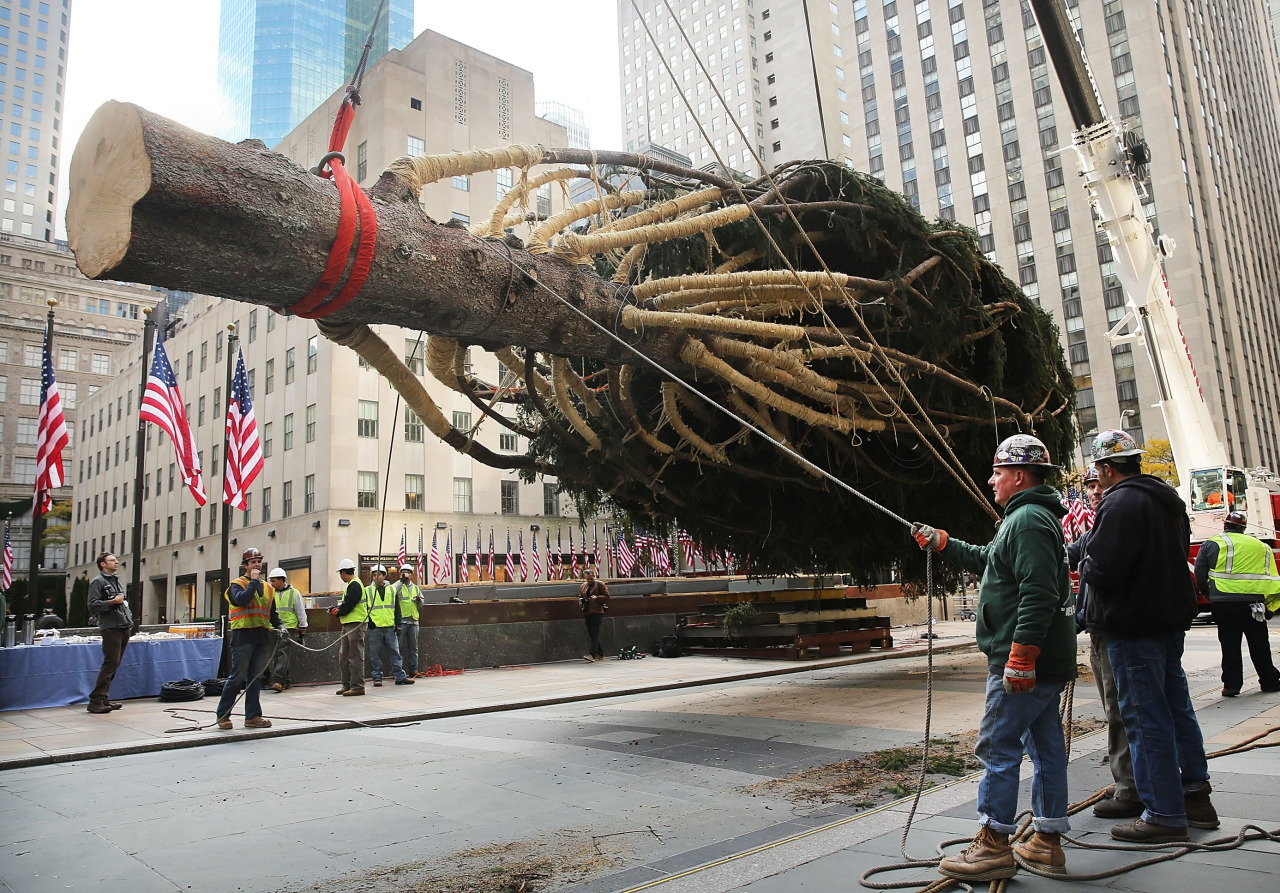 1280x893, 394 Kb / елка, нью-йорк