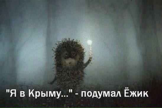 548x367, 24 Kb / Ежик, туман, Крым