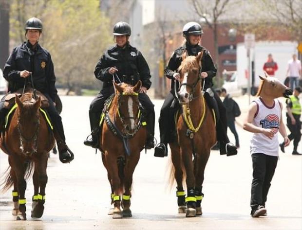 620x473, 45 Kb / полиция, лошади, маска