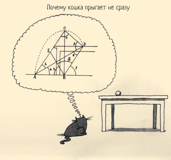 650x607, 47 Kb / кошка, стол, шар, расчеты