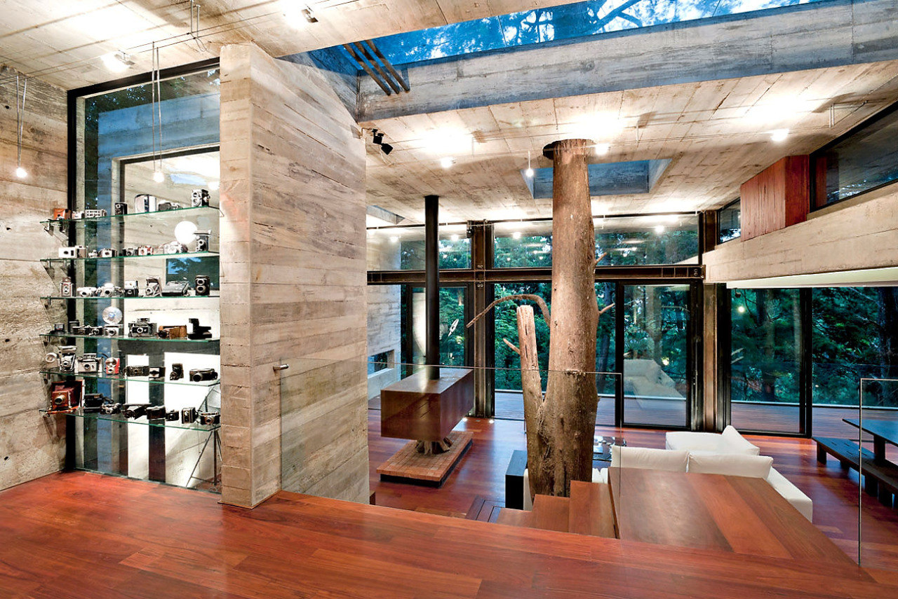 1280x855, 392 Kb / дерево, дом, архитектура