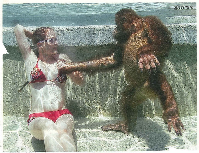 776x600, 343 Kb / рыжая, купальник, очки, лапа, обезьяна, орангутанг, под водой